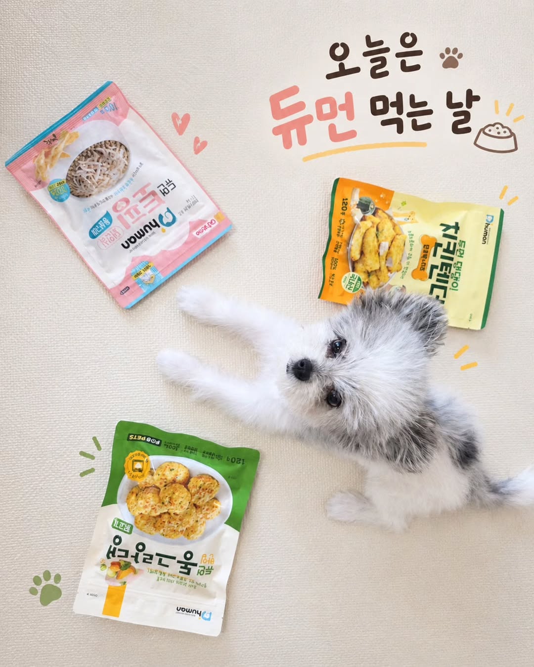 @power_0z이 올린 D'human 듀먼 태그 게시물