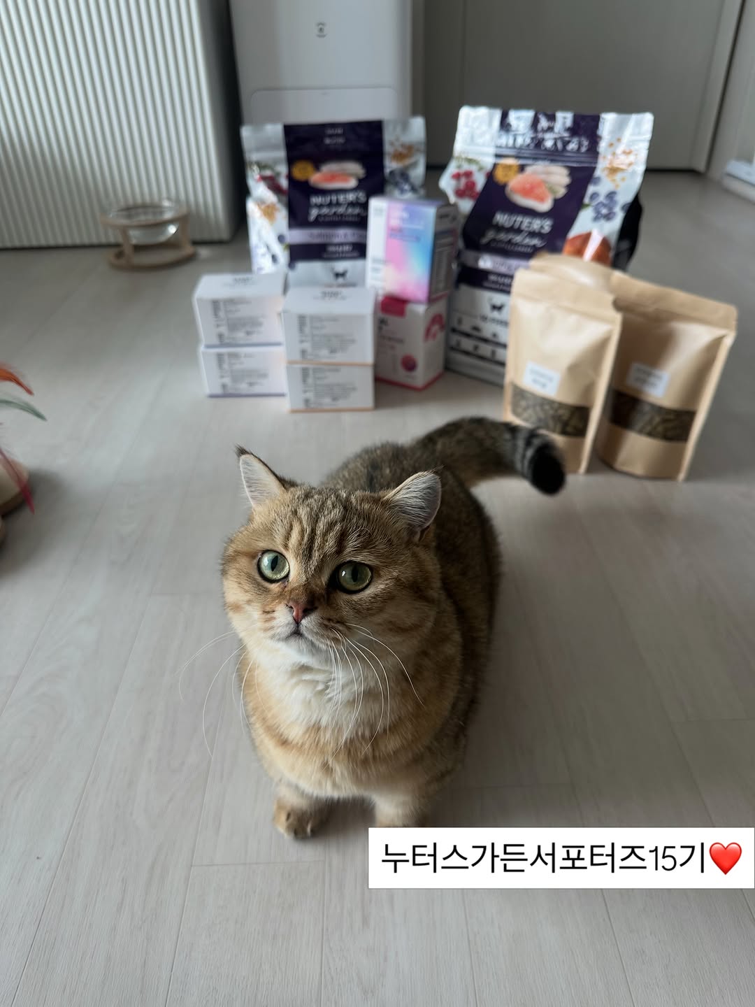 @bella20250703이 올린 누터스가든 태그 게시물
