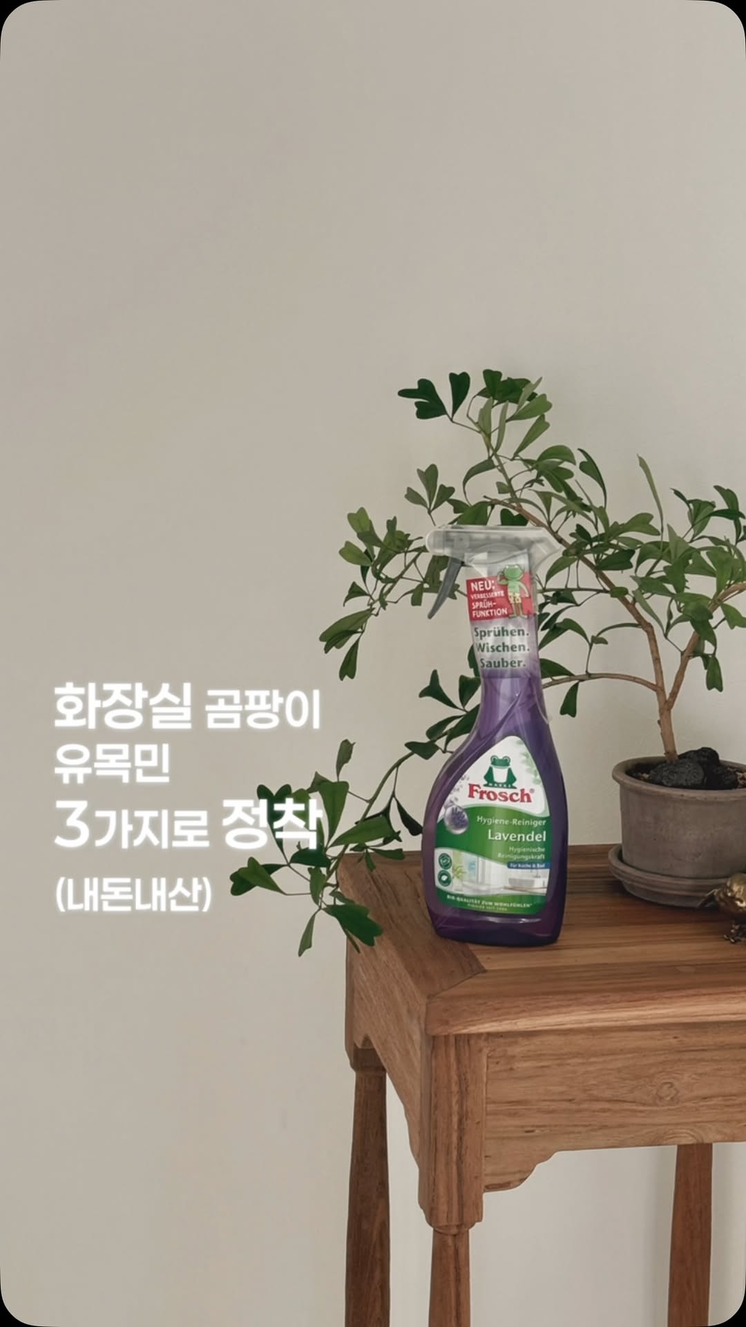 @flowerjing_home이 올린 프로쉬 태그 게시물