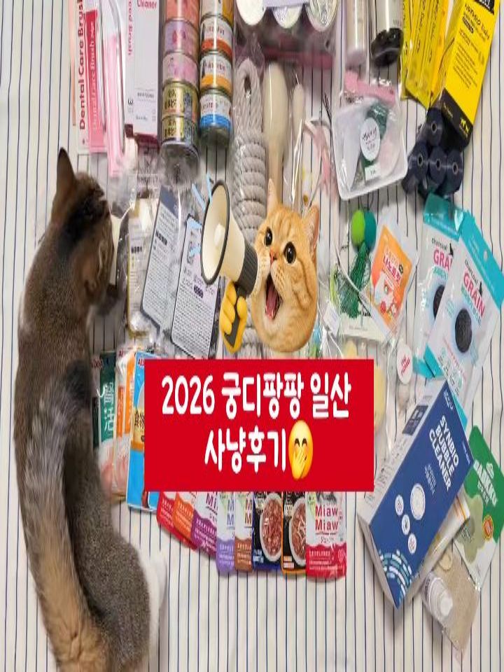 @hoochu_1111이 올린 아이시아 코리아 태그 게시물