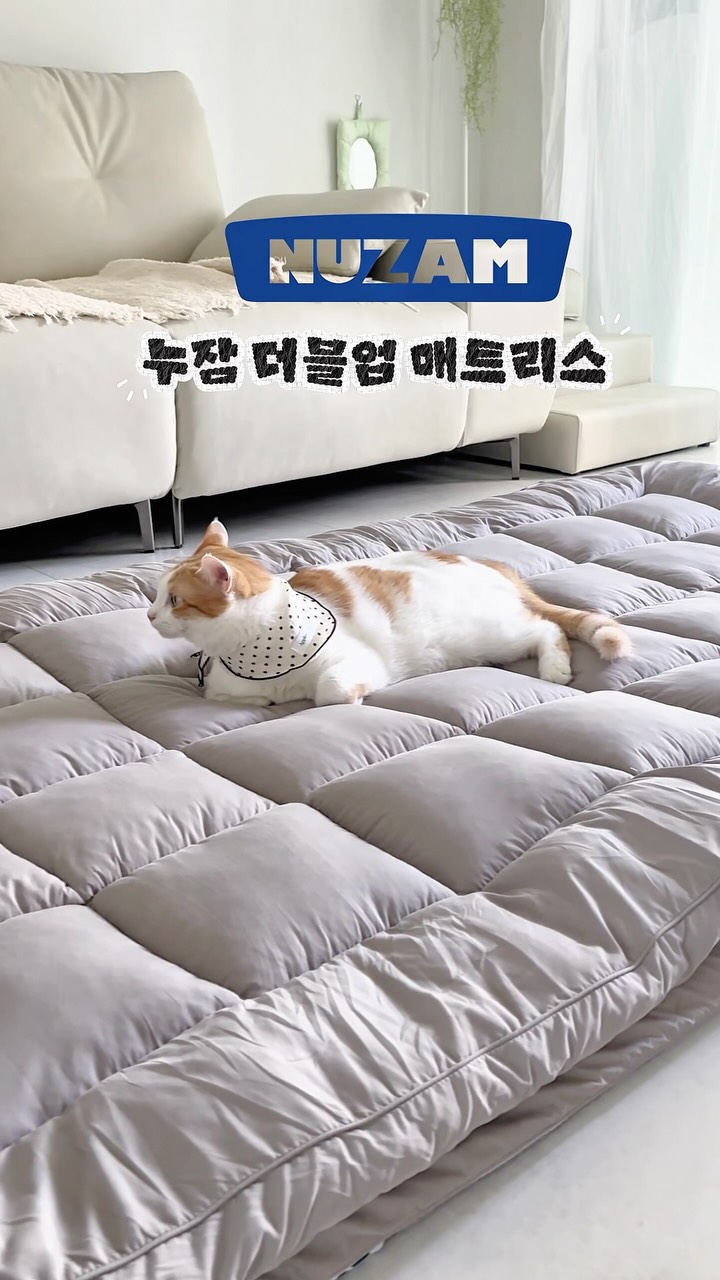 @snowfallin_이 올린 NUZAM 누잠 태그 게시물