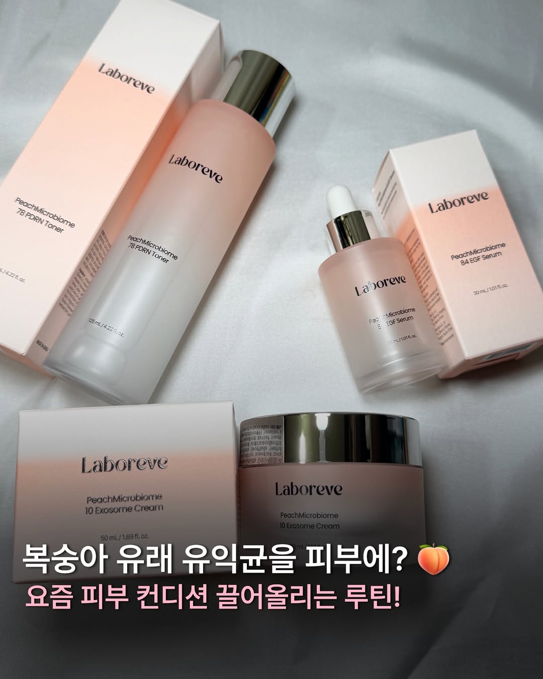 @ayo_iszip이 올린 라보레브 태그 게시물