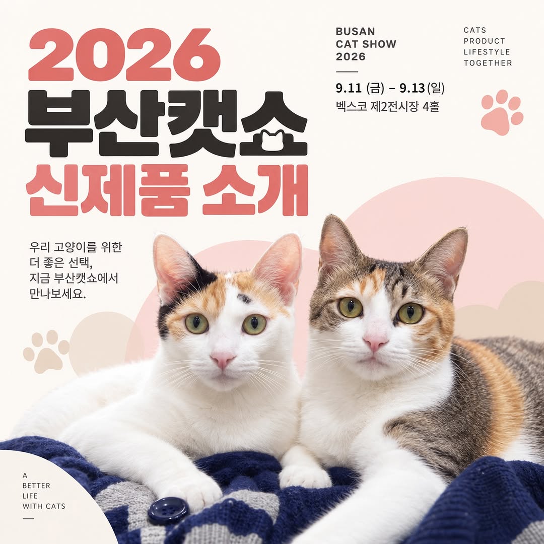 @alley_cats_family이 올린 hy 태그 게시물