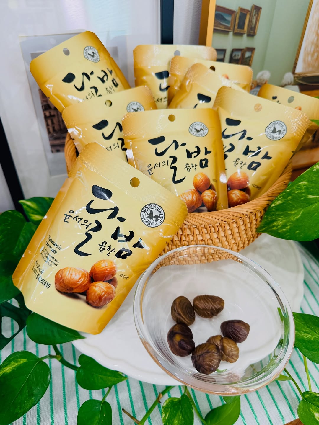 @hansyhome이 올린 산과들에 태그 게시물