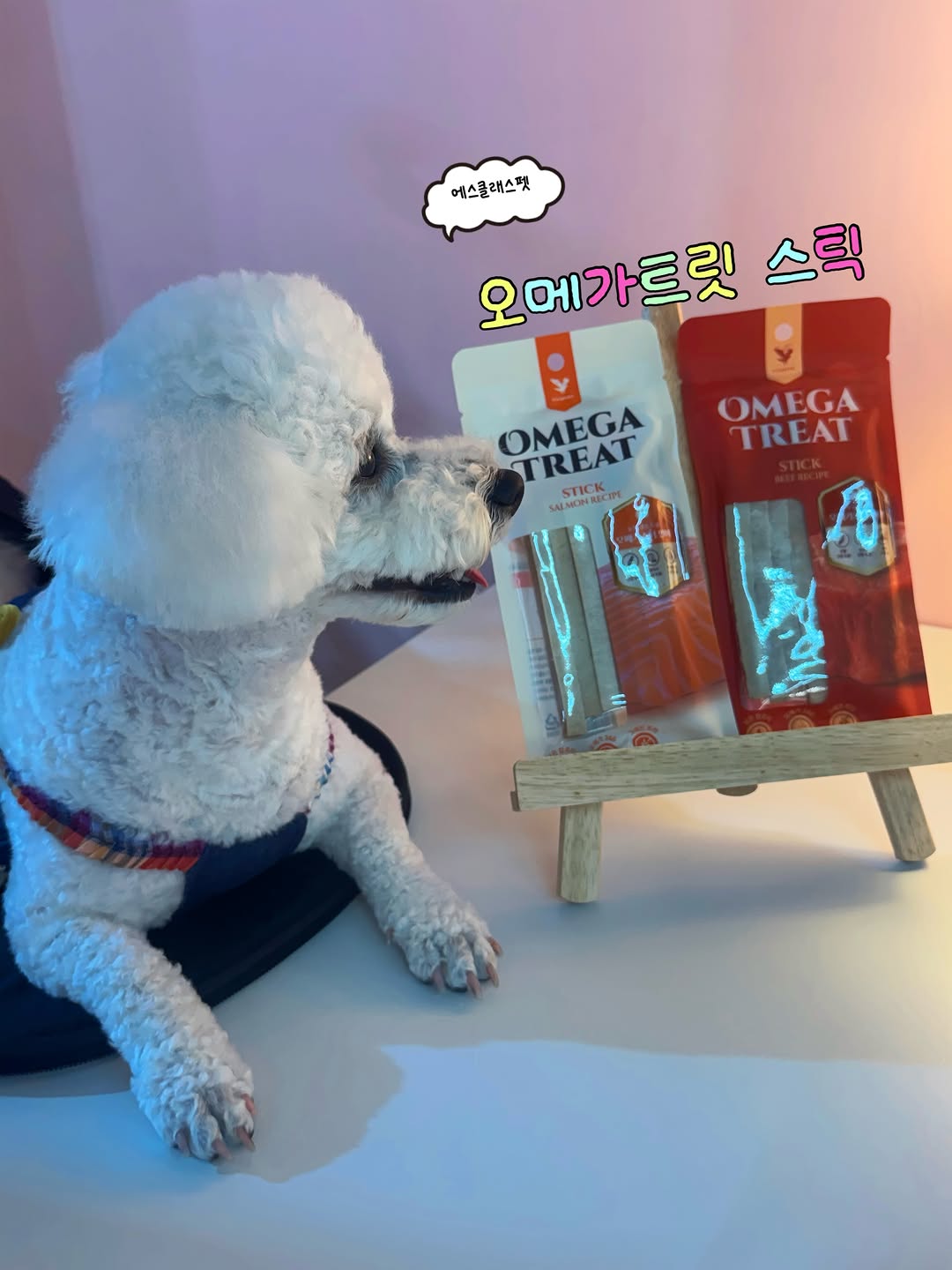 @bichon_sugar0324이 올린 에스클래스펫 태그 게시물