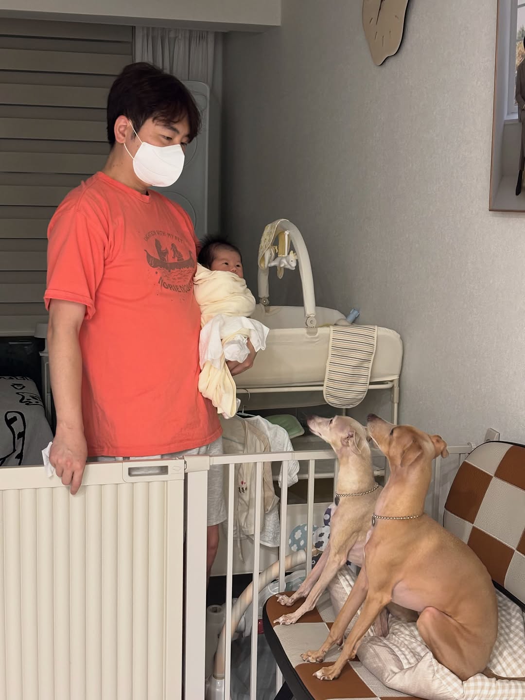 @okdoll_ming이 올린 텍미홈 태그 게시물