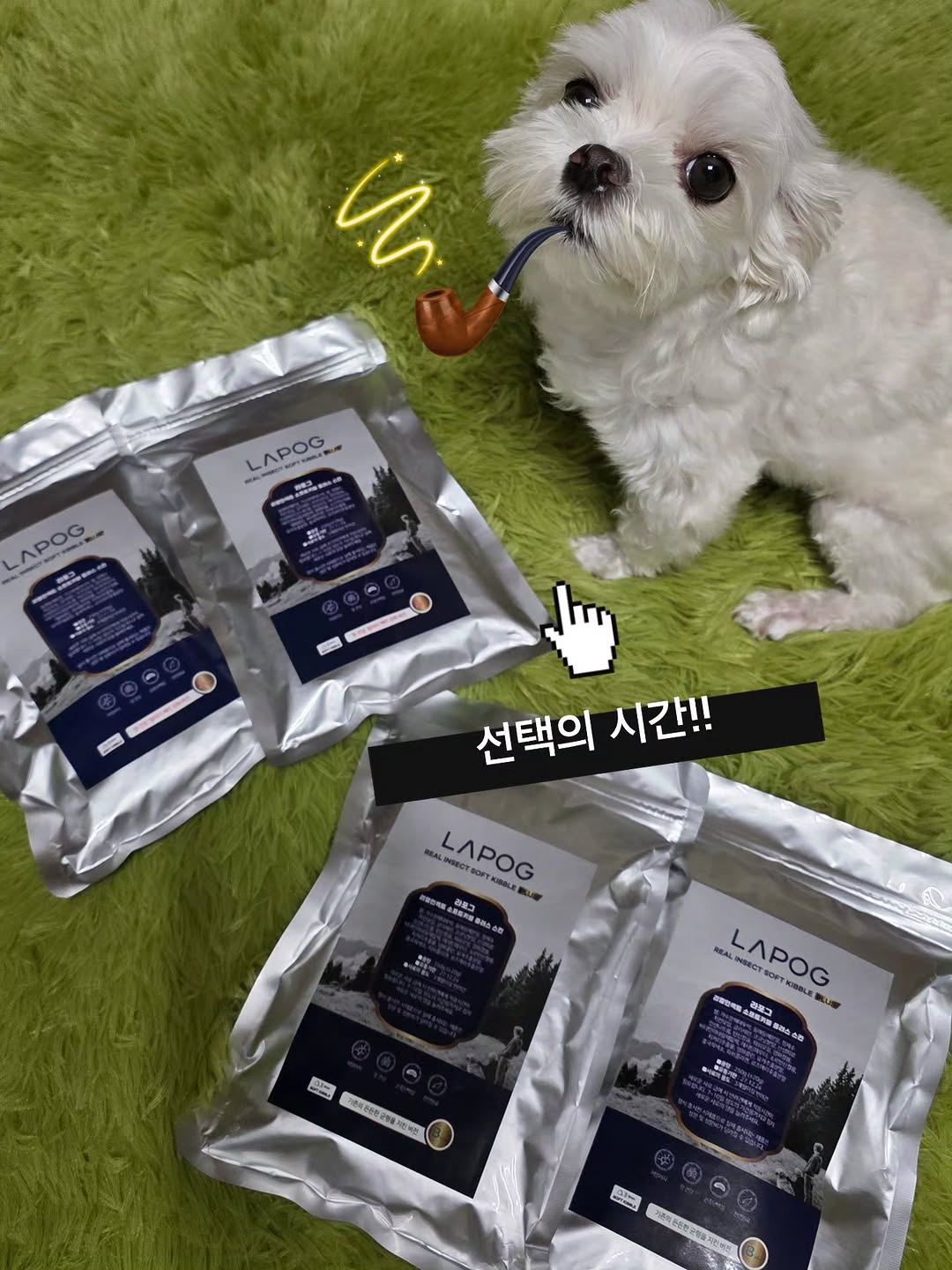 @mingi12358이 올린 라포그 태그 게시물