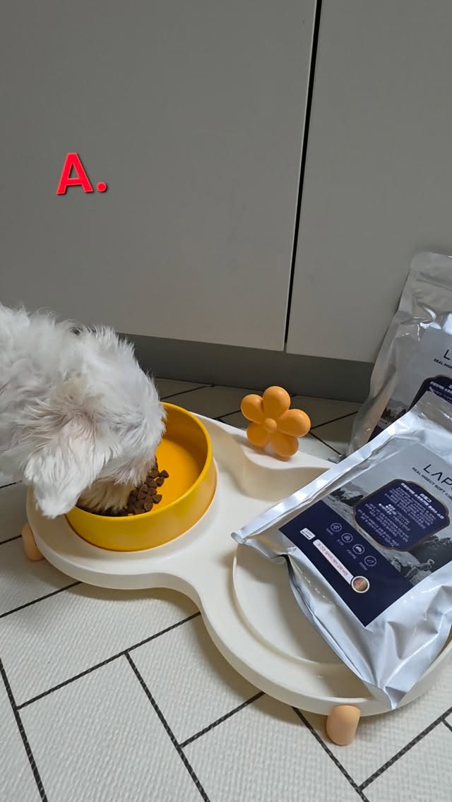 @mingi12358이 올린 라포그 태그 게시물