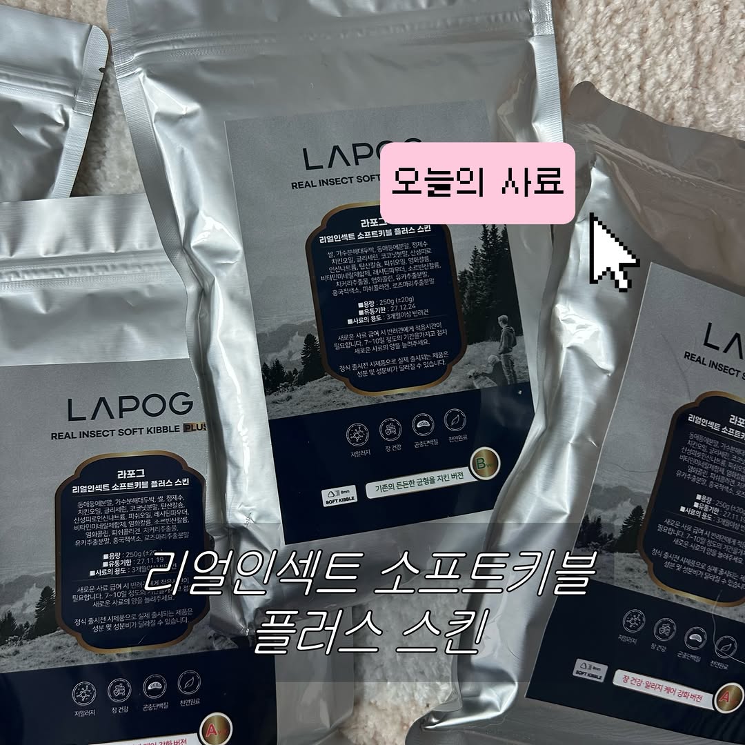 @hongdadani이 올린 라포그 태그 게시물