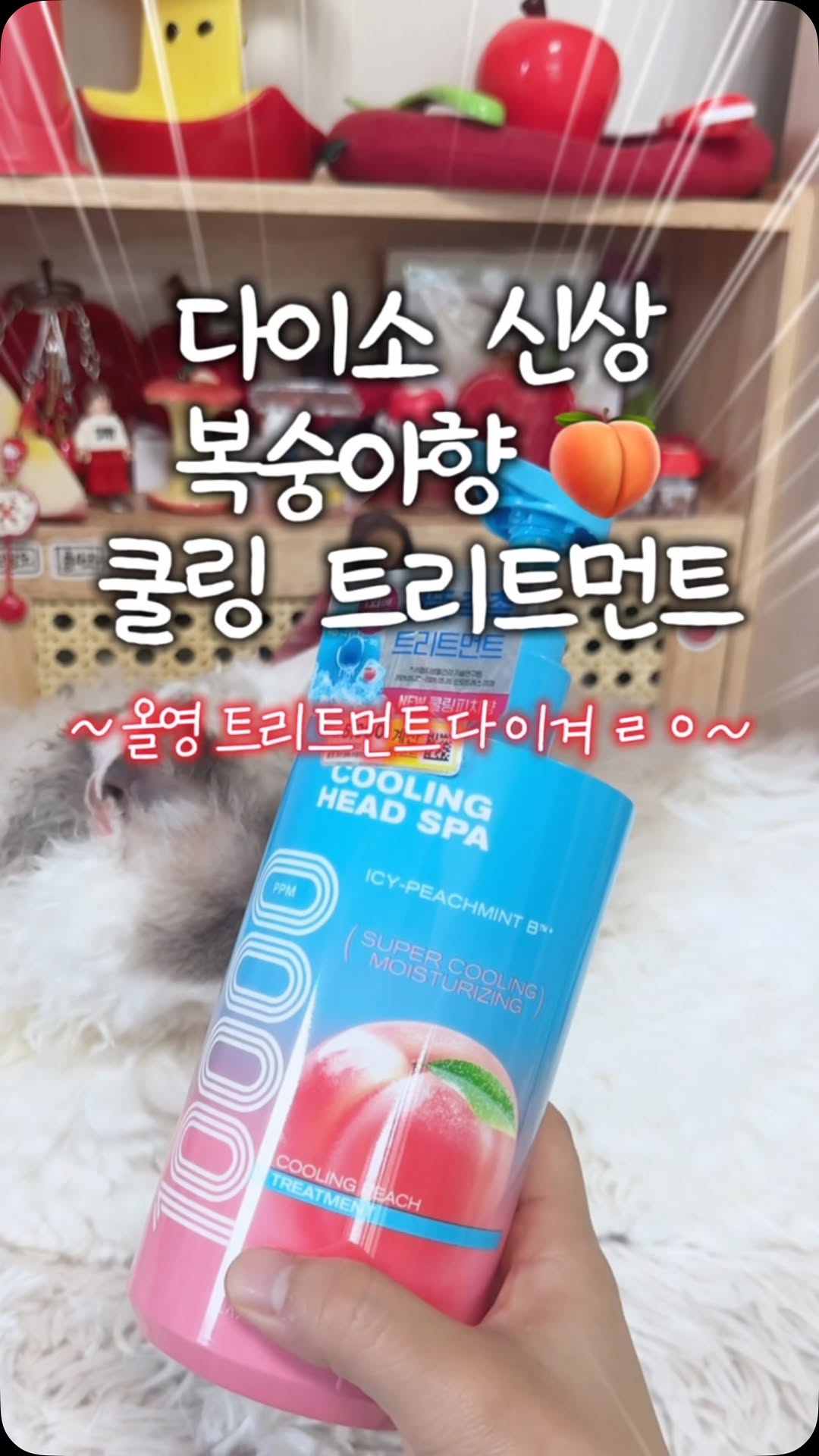 @ohraemakeup_이 올린 엘라스틴 태그 게시물