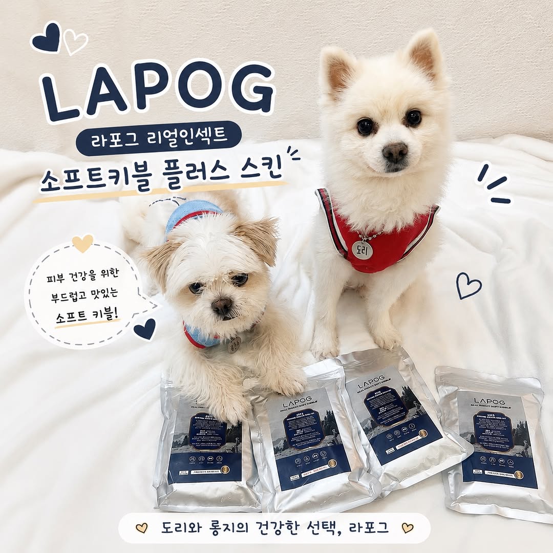 @dori_rungjis2이 올린 라포그 태그 게시물
