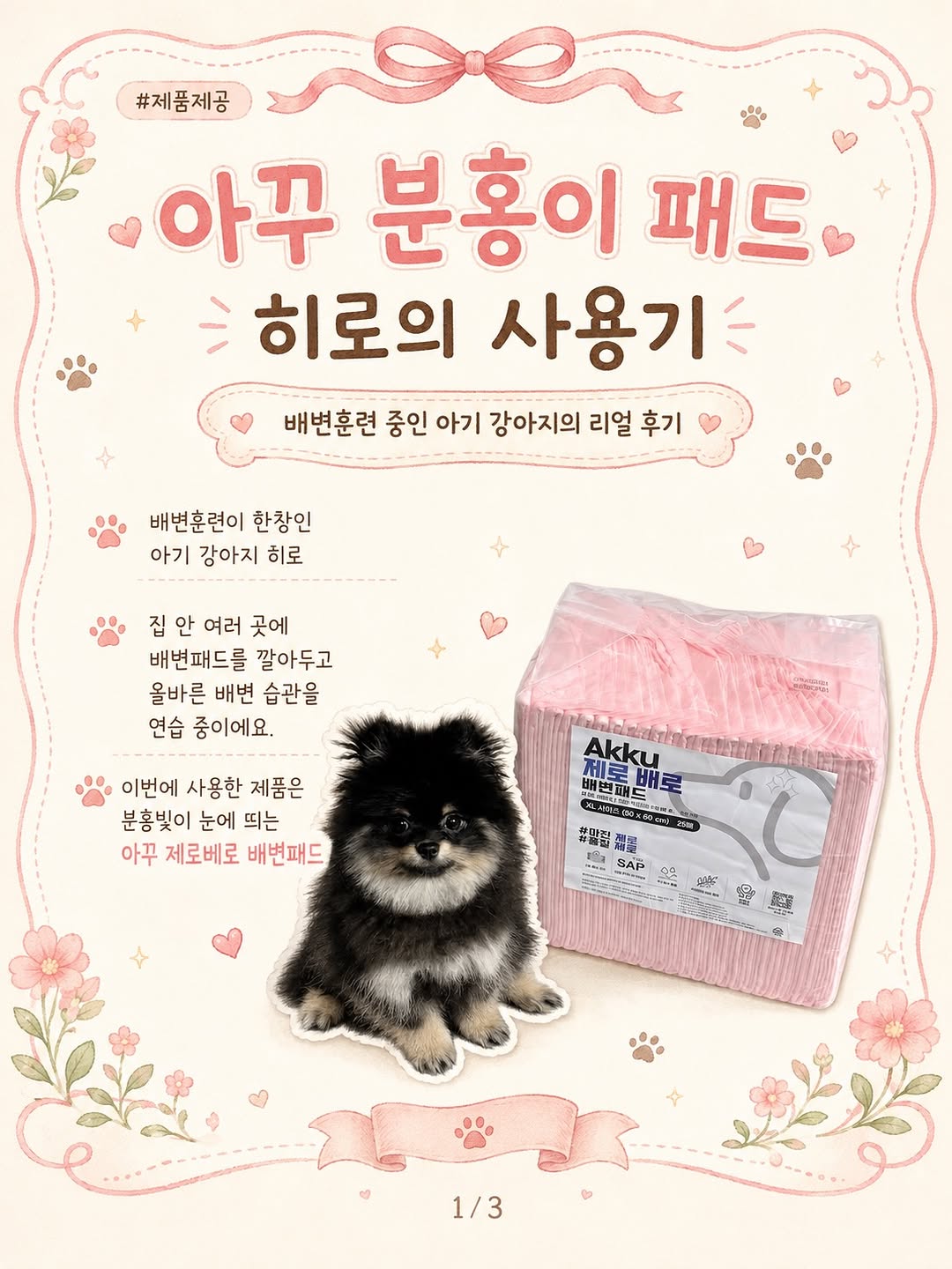 @its.hiro.film이 올린 아꾸 태그 게시물