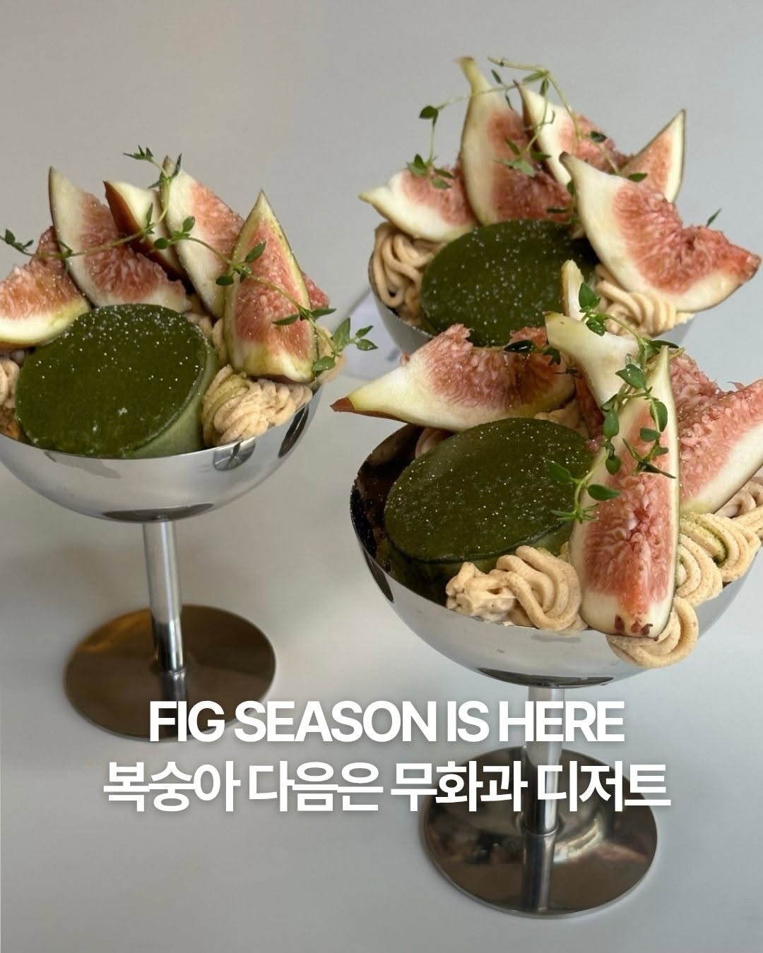 @dailyfood_news이 올린 타르데마베이커리 태그 게시물