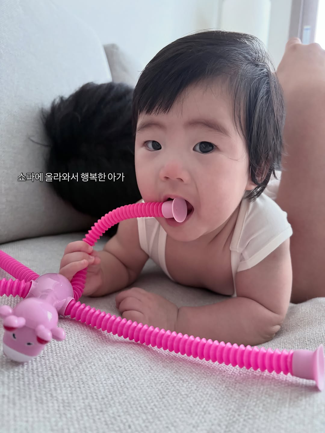 @zziiyooni이 올린 아이엔젤 힙시트 아기띠 태그 게시물