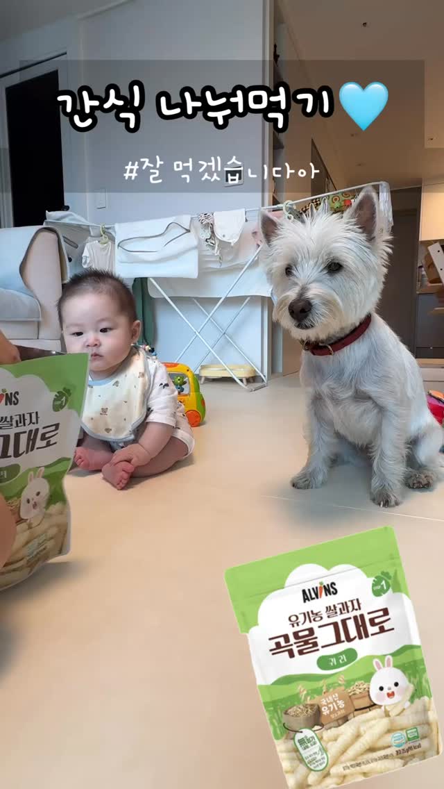 @hajunchoi_0123이 올린 엘빈즈 이유식 태그 게시물