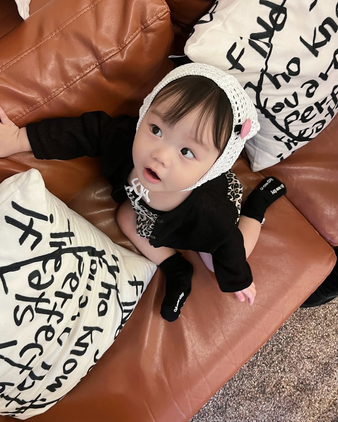 @yul_luvly이 올린 도나스베베 태그 게시물