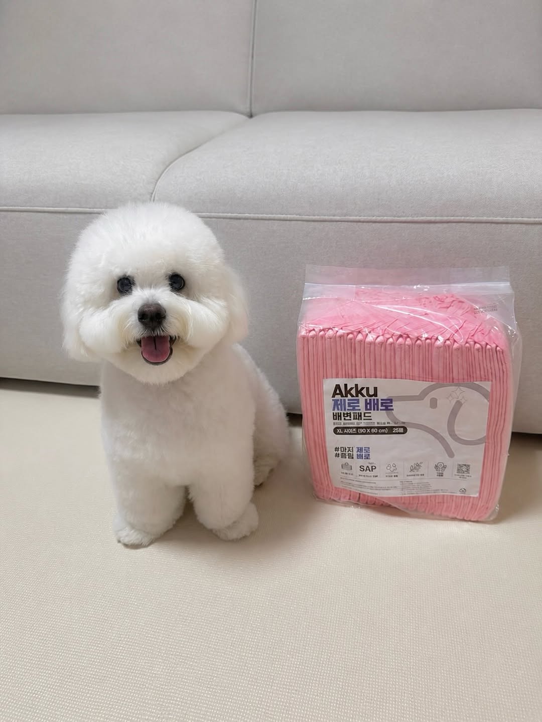 @coton__manbok이 올린 아꾸 태그 게시물