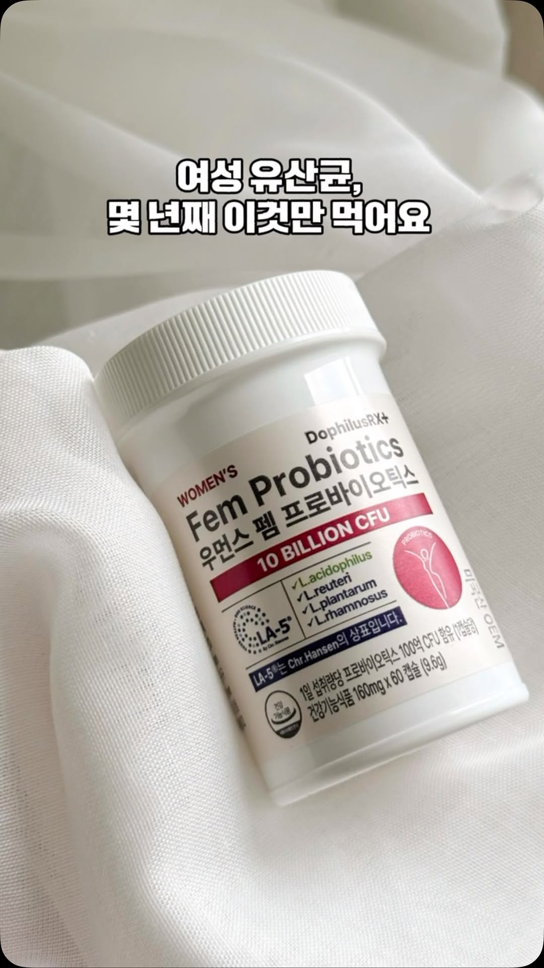 @gummi_home이 올린 도피러스알엑스 태그 게시물