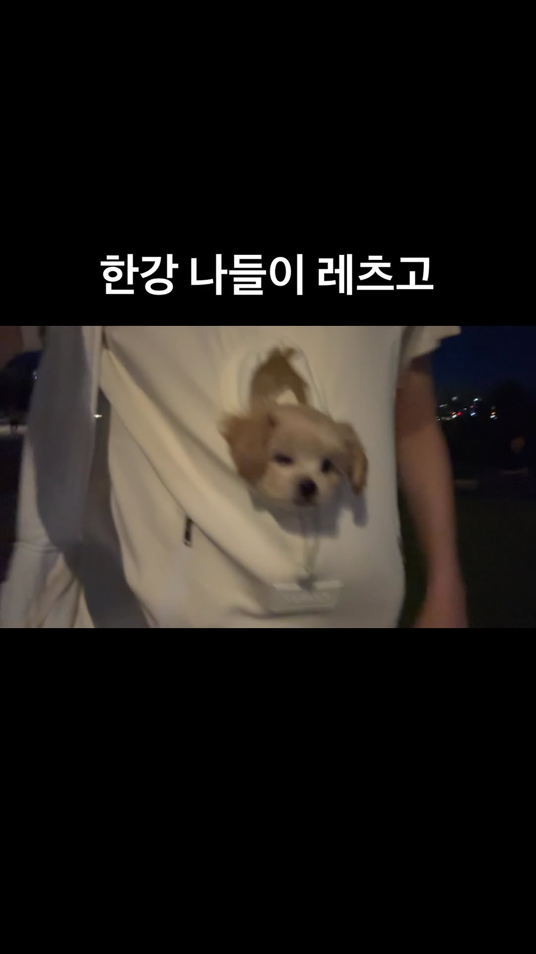 @luckypoo_260513이 올린 무뮤리 태그 게시물