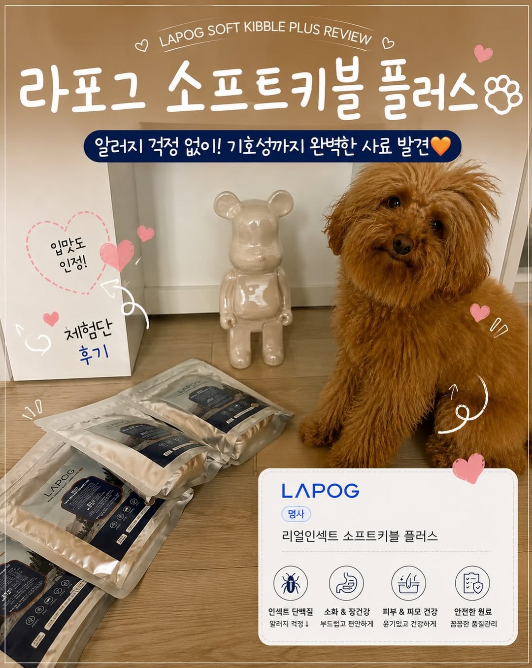 @_chokodog_이 올린 라포그 태그 게시물