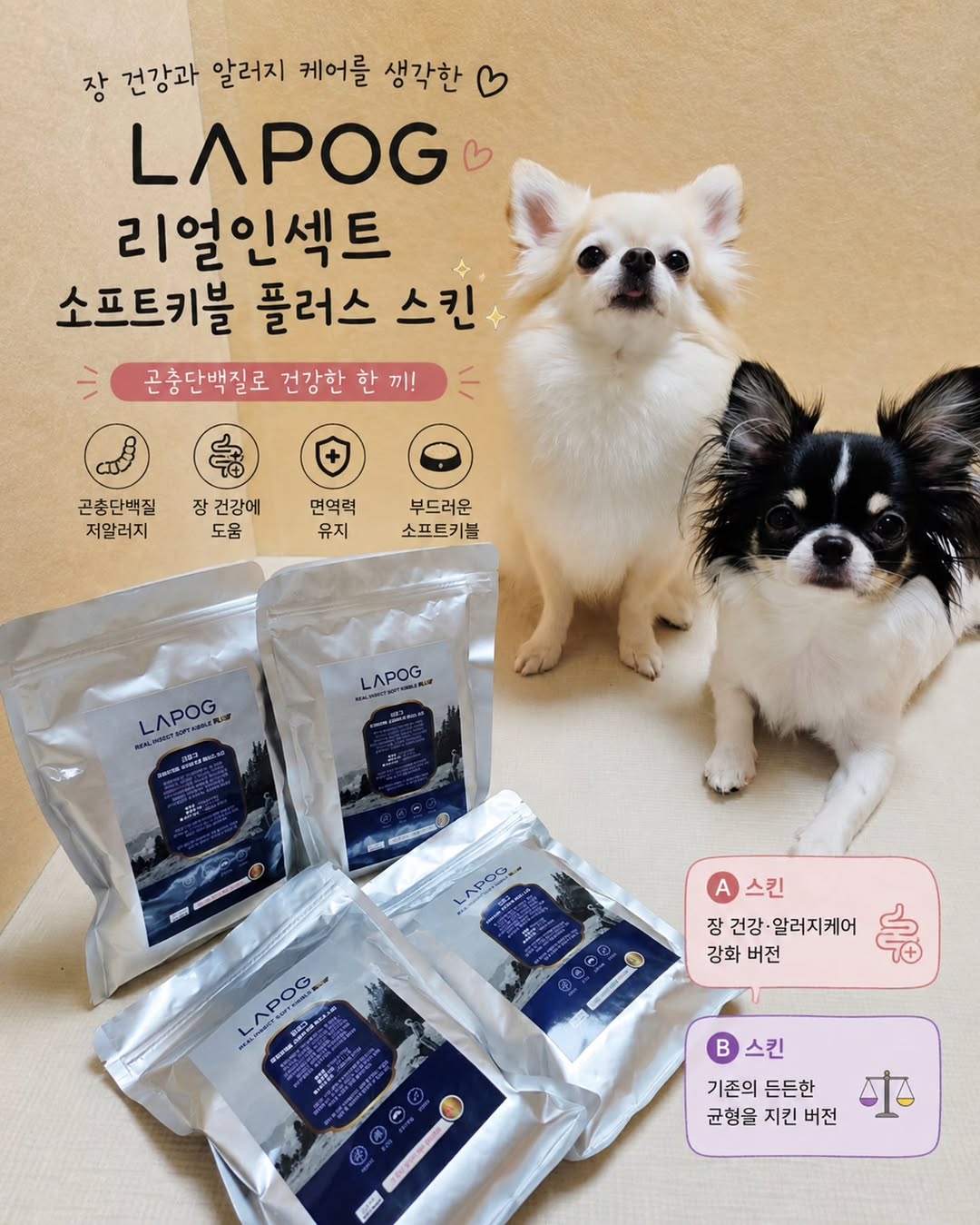 @v.v_saenggang이 올린 라포그 태그 게시물