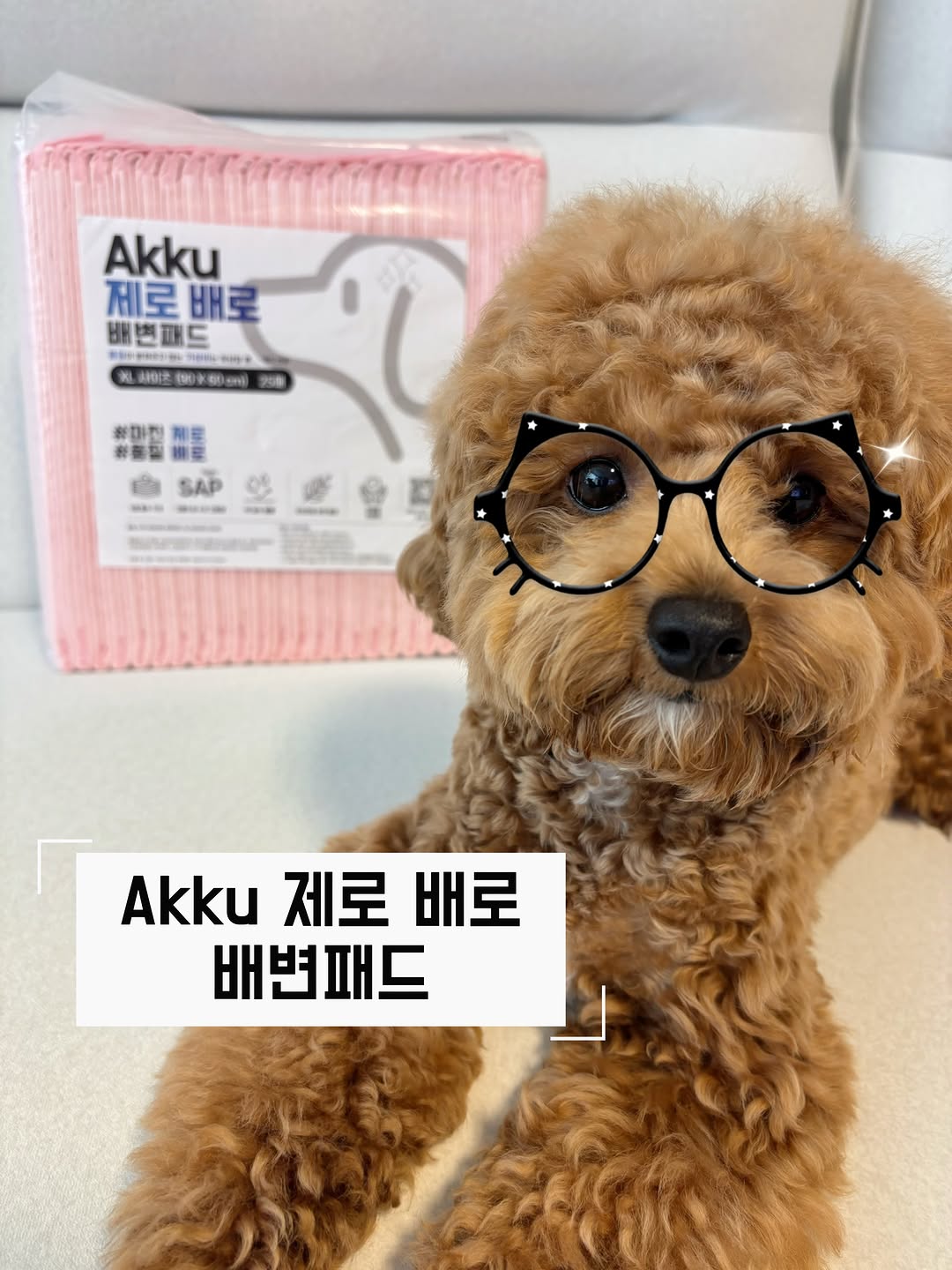 @lovelygoseul이 올린 아꾸 태그 게시물