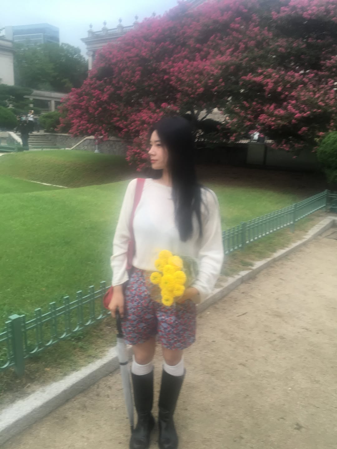 @cherishxme_이 올린 노운베러 태그 게시물
