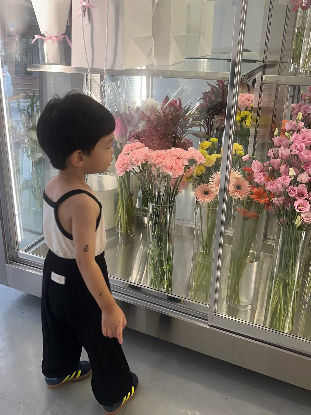 @oh.din.family이 올린 피코몬도 태그 게시물