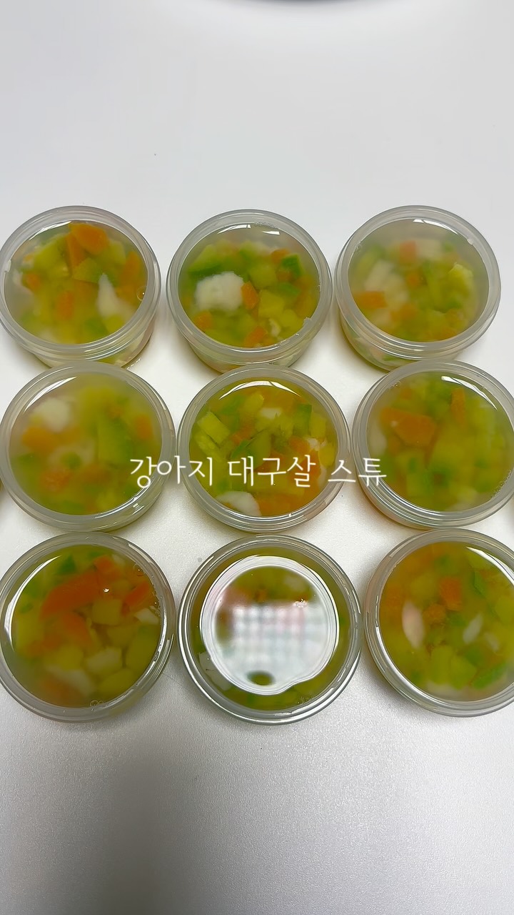 @dyu_dyu_world이 올린 씨몬스터 태그 게시물