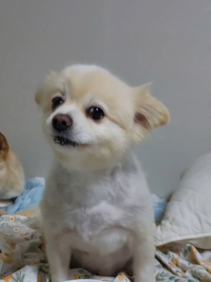 @sunjeos이 올린 누터스가든 태그 게시물