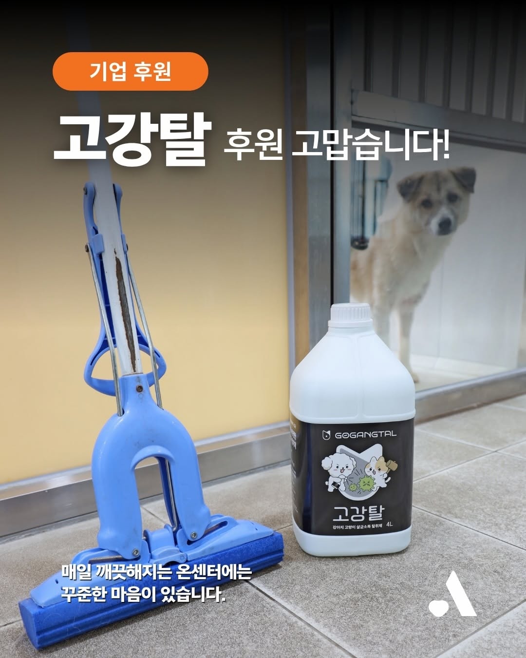 @kawa.on이 올린 고강탈 태그 게시물