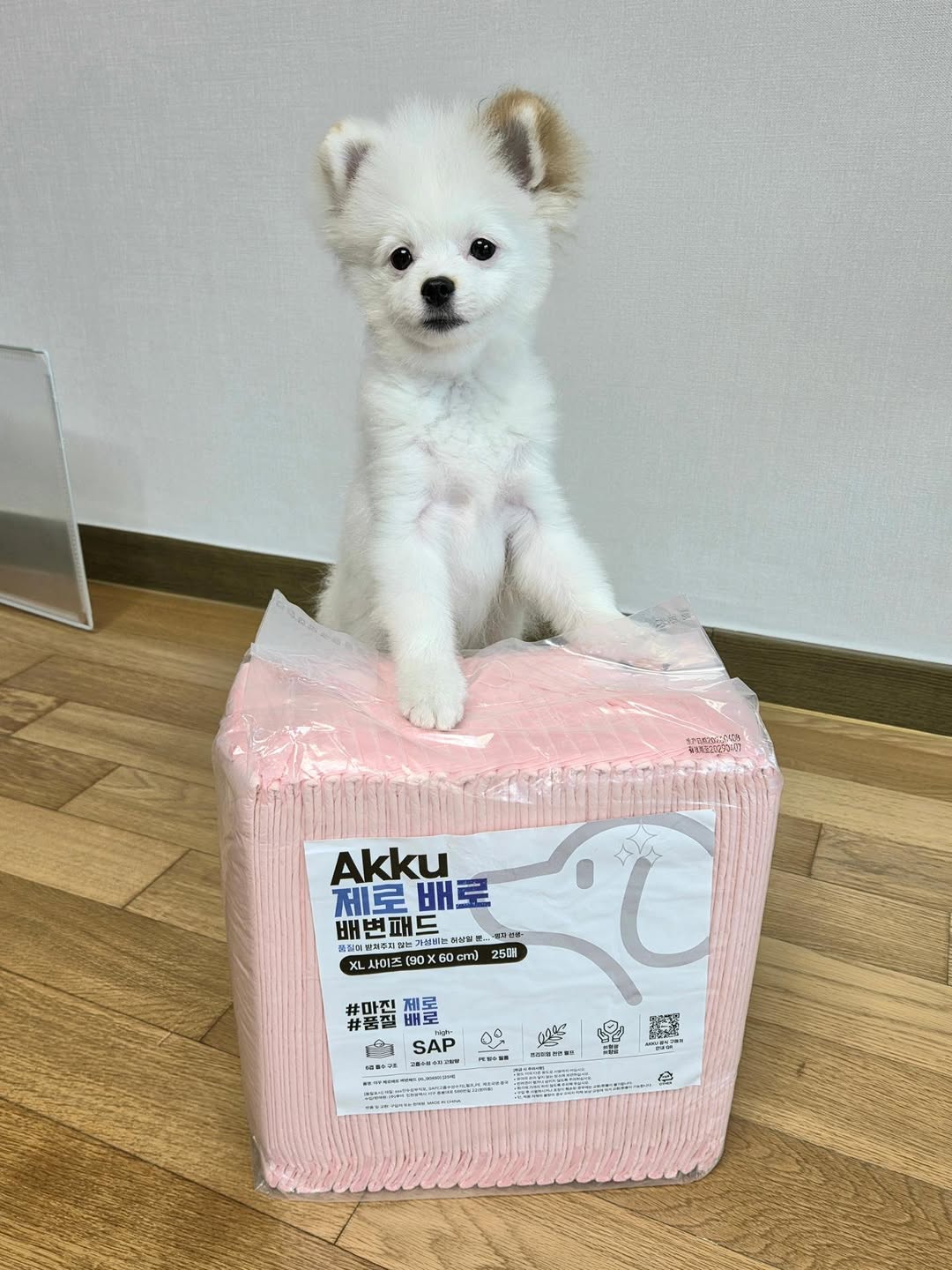 @2.6.0.3.1.0이 올린 아꾸 태그 게시물