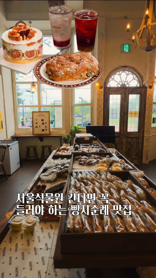 @woojune_curator이 올린 타르데마베이커리 태그 게시물
