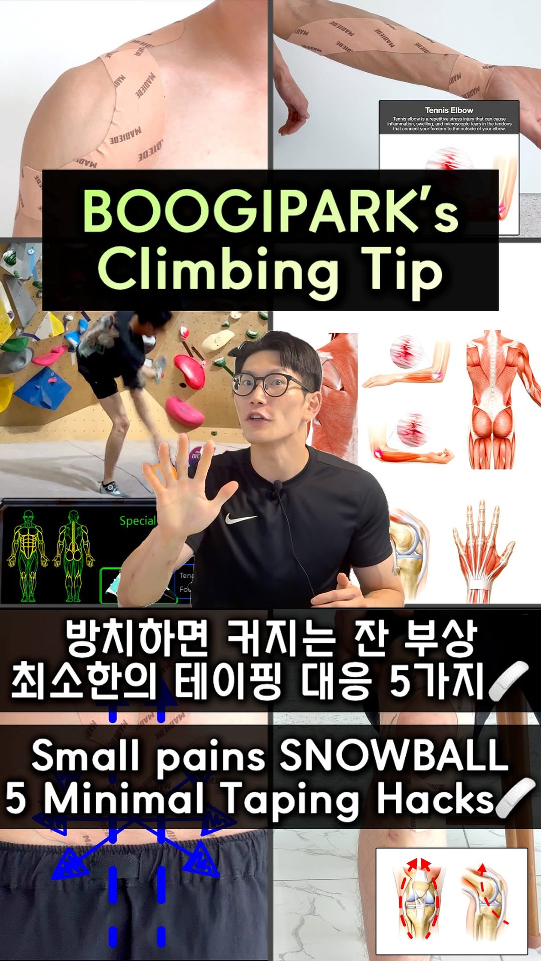 @boogipark_climber이 올린 비네이쳐스 태그 게시물