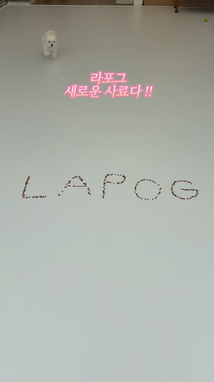 @atti_bbutti이 올린 라포그 태그 게시물