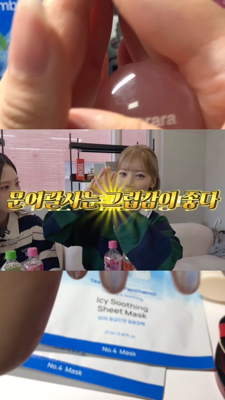 @pxpyep이 올린 해달씨 태그 게시물