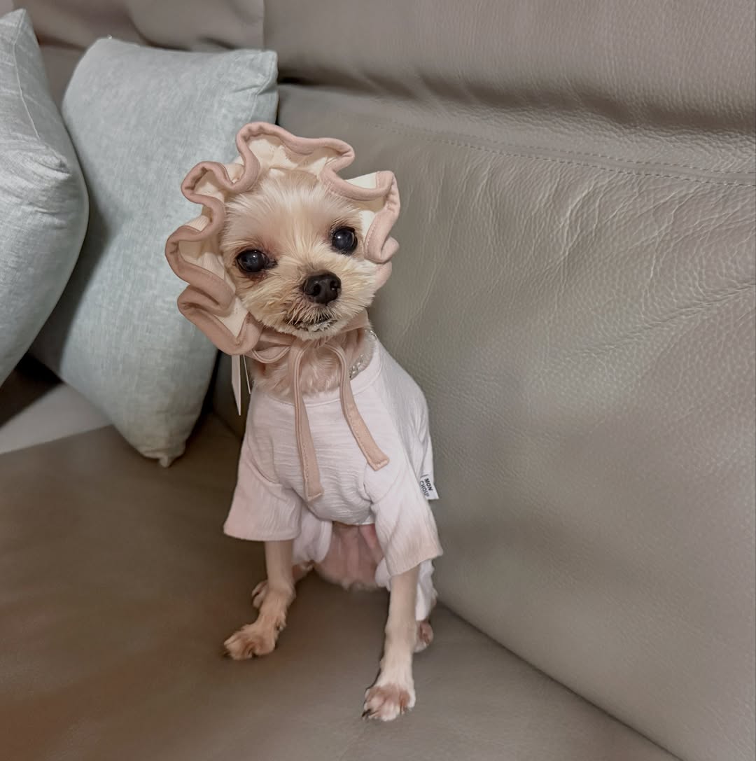 @sol_archivingspace이 올린 포포캄 태그 게시물
