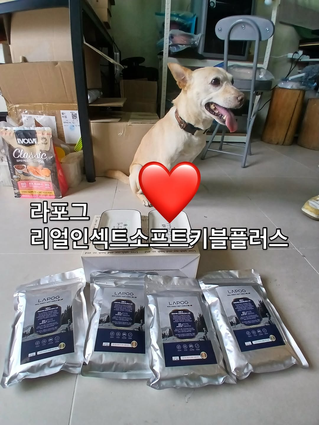 @pazzi.mam이 올린 라포그 태그 게시물