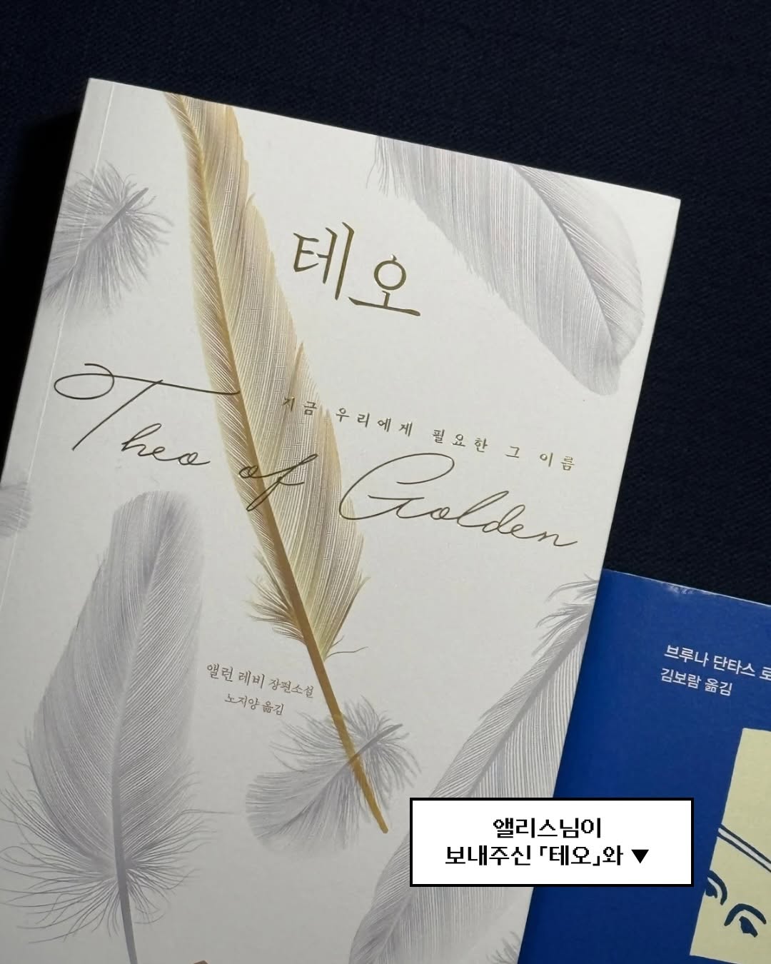 @jigu_writing이 올린 오팬하우스 태그 게시물