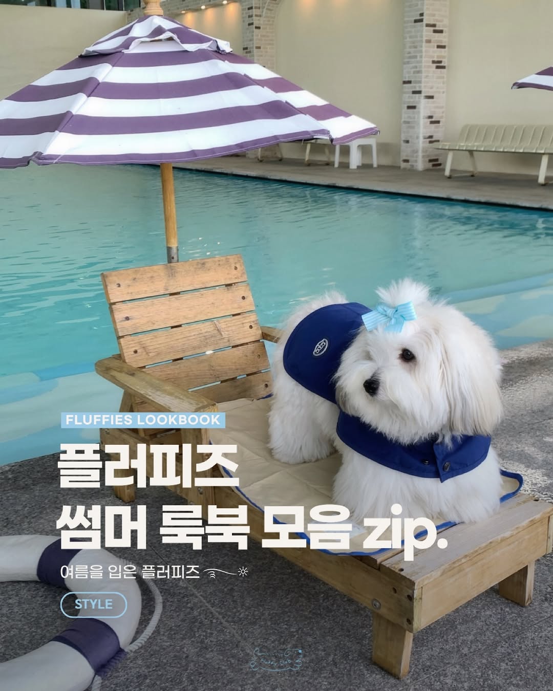 @fluffy__club_이 올린 누핀 태그 게시물