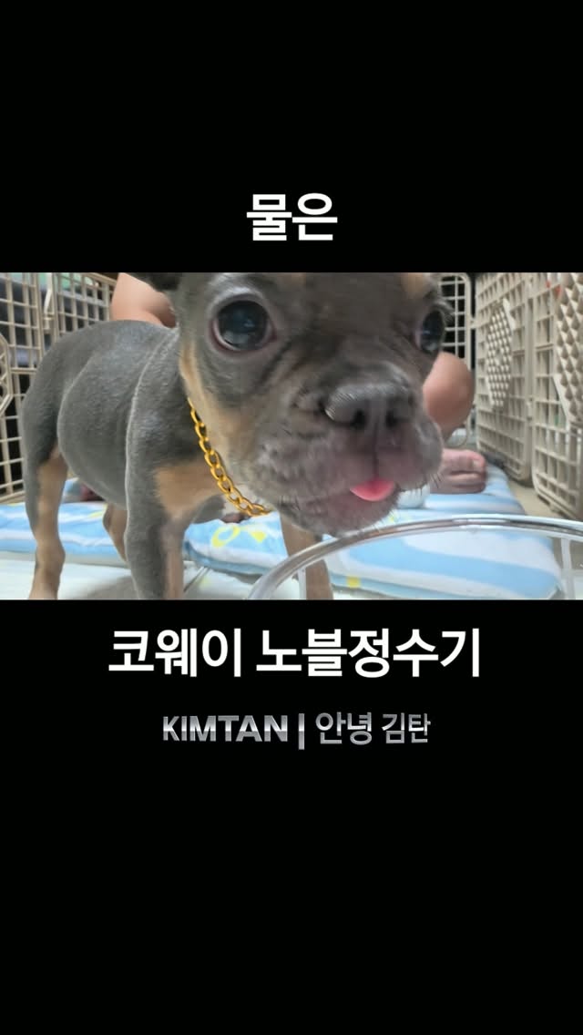 @empire_kimtan이 올린 코웨이 태그 게시물