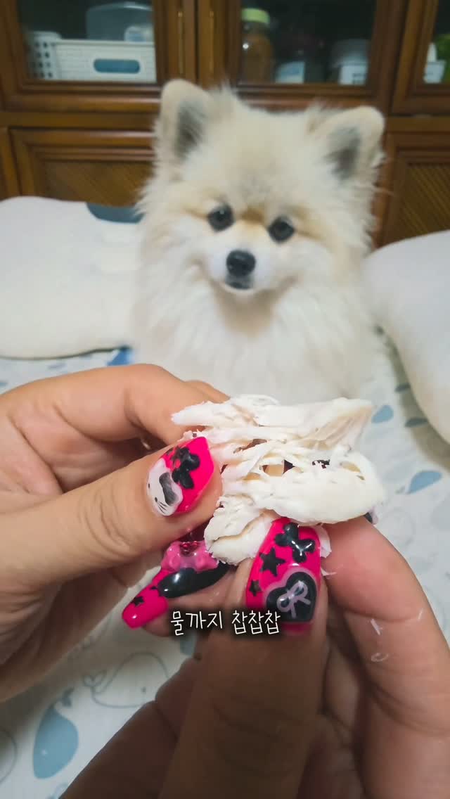 @yangdong2_house이 올린 정글키친 태그 게시물