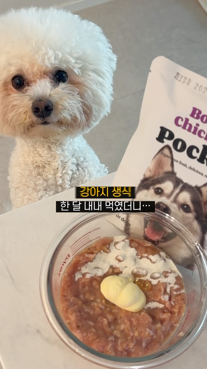 @mybabytyrant이 올린 정글키친 태그 게시물