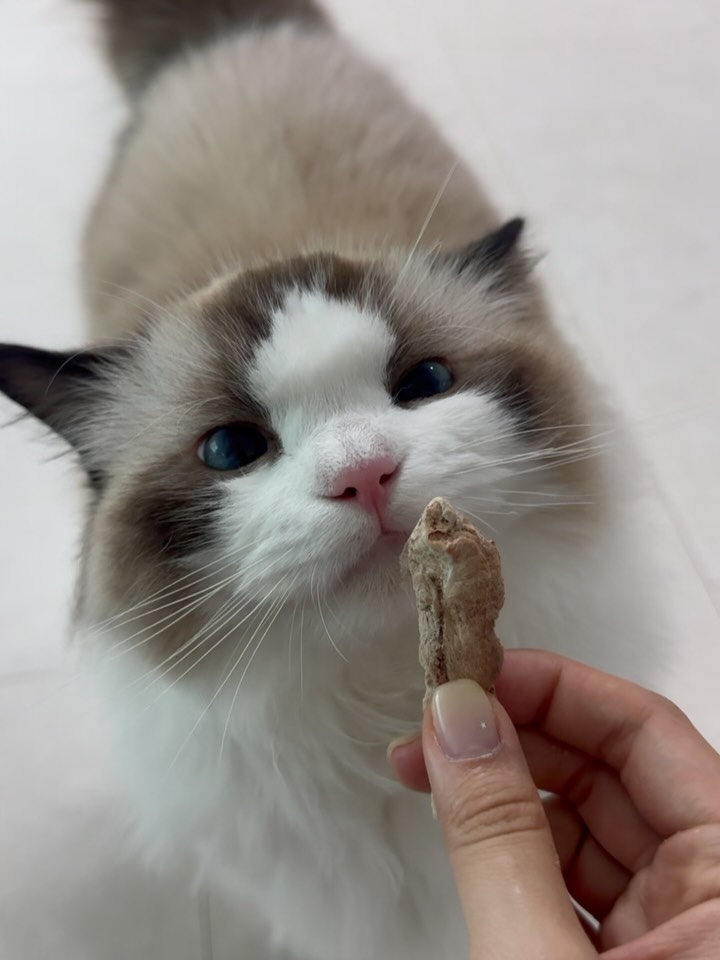 @lem0_ng이 올린 정글키친 태그 게시물