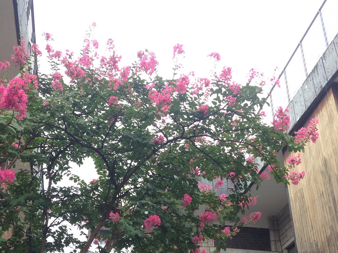 @soongu____이 올린 𝐊𝐨𝐦𝐨𝐫𝐞𝐛𝐢 𝐌𝐮𝐬𝐞𝐮𝐦 𝐎𝐟𝐟𝐢𝐜𝐢𝐚𝐥 태그 게시물