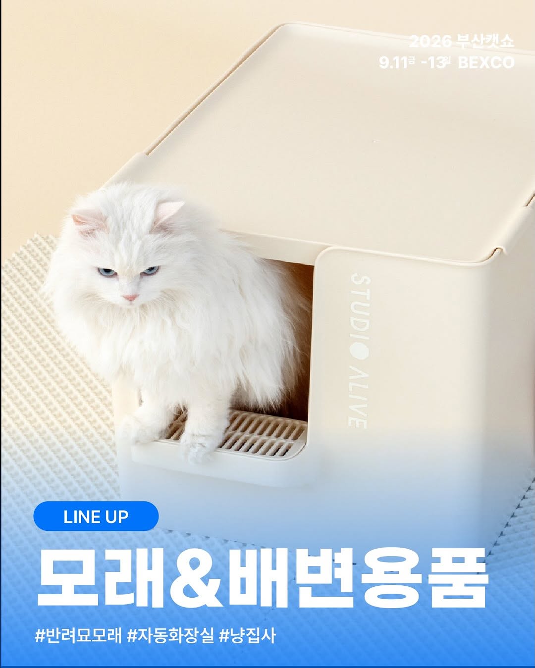 @busan_catshow이 올린 누터스가든 태그 게시물