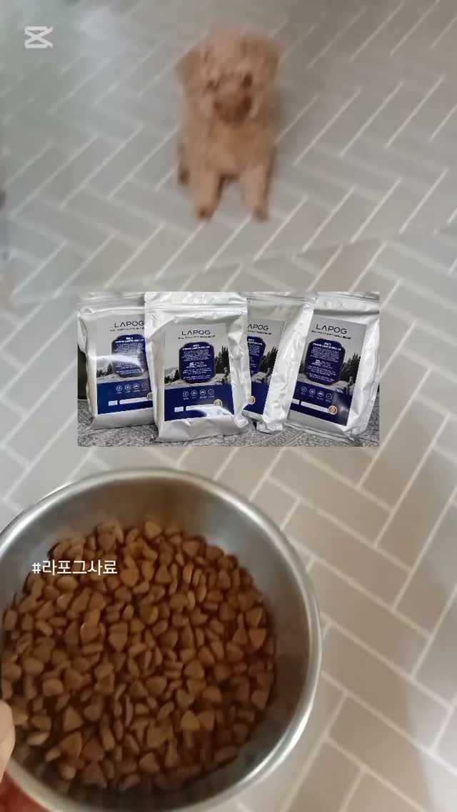 @gaeulggosyun이 올린 라포그 태그 게시물