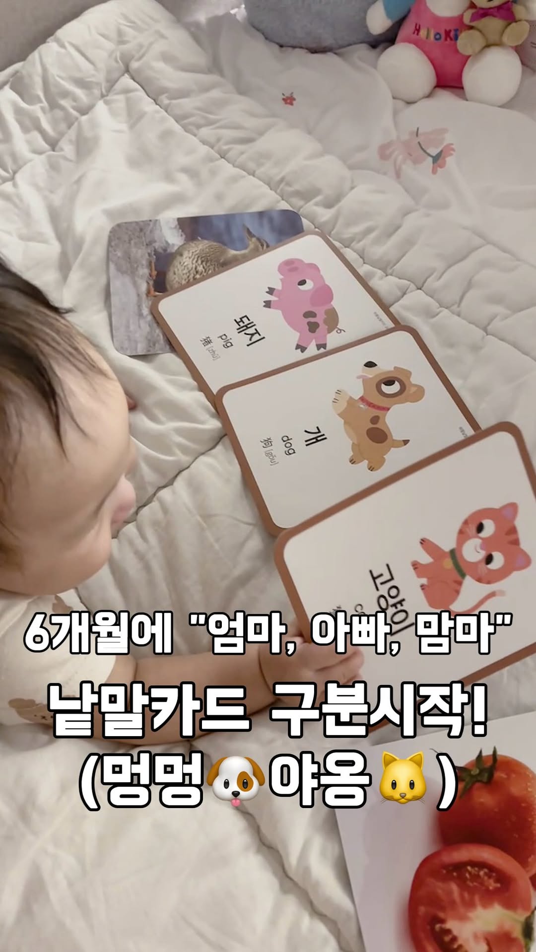 @soyi_room이 올린 Hattung® 하뚱 태그 게시물