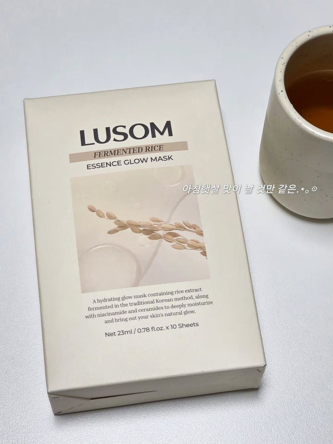 @dingdong_proj이 올린 루솜 LUSOM 태그 게시물