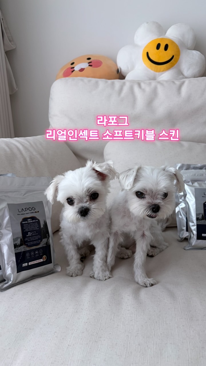@ariather.zip이 올린 라포그 태그 게시물